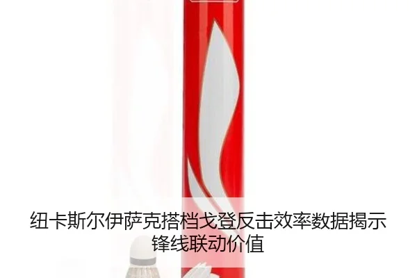 纽卡斯尔伊萨克搭档戈登反击效率数据揭示锋线联动价值